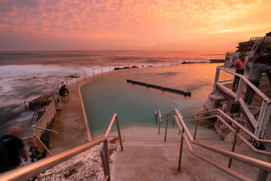 Busy Bronte