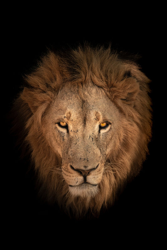 King