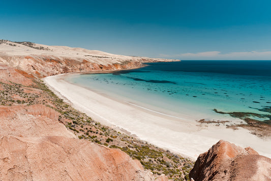 Port Willy